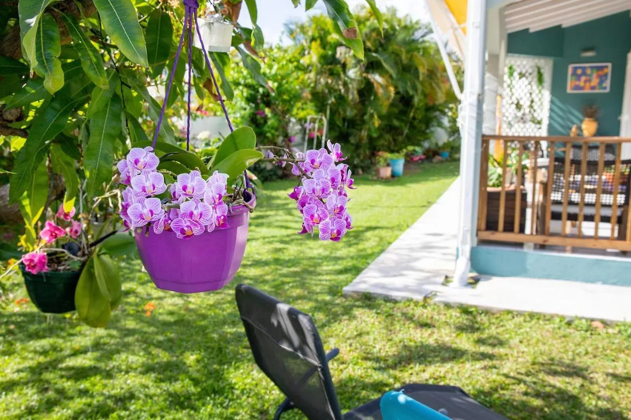 Villa L'Artist En Bord De Mer Avec Piscine Privee Sainte-Rose Γουαδελούπη